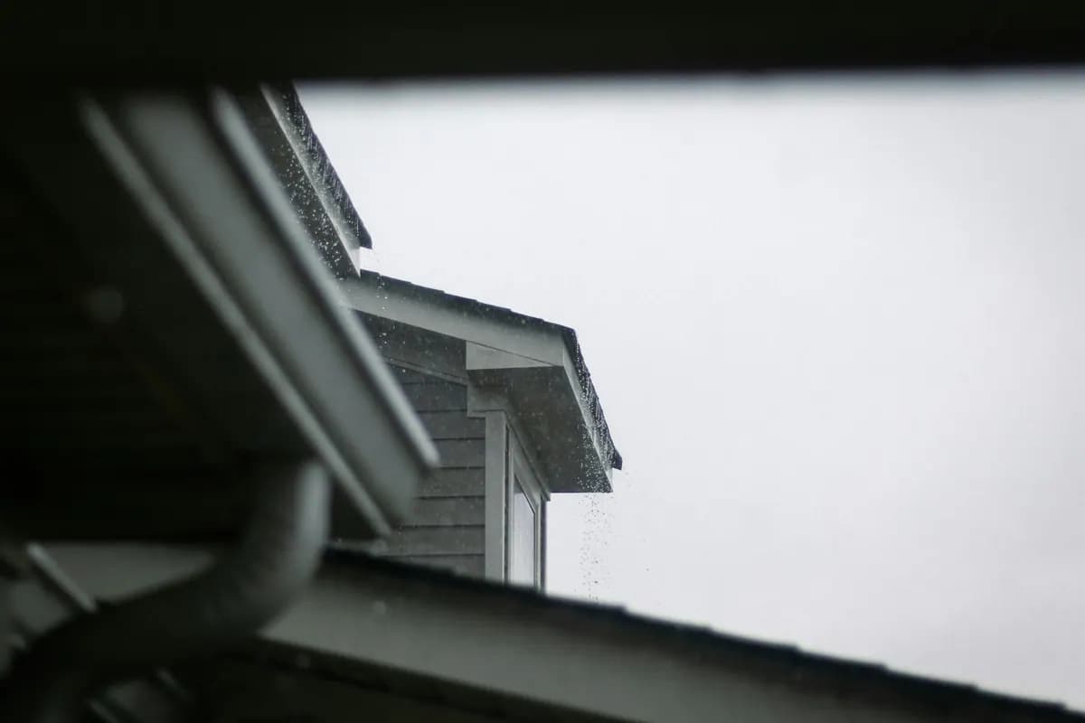 A roof edge and gutter against a grey, overcast sky