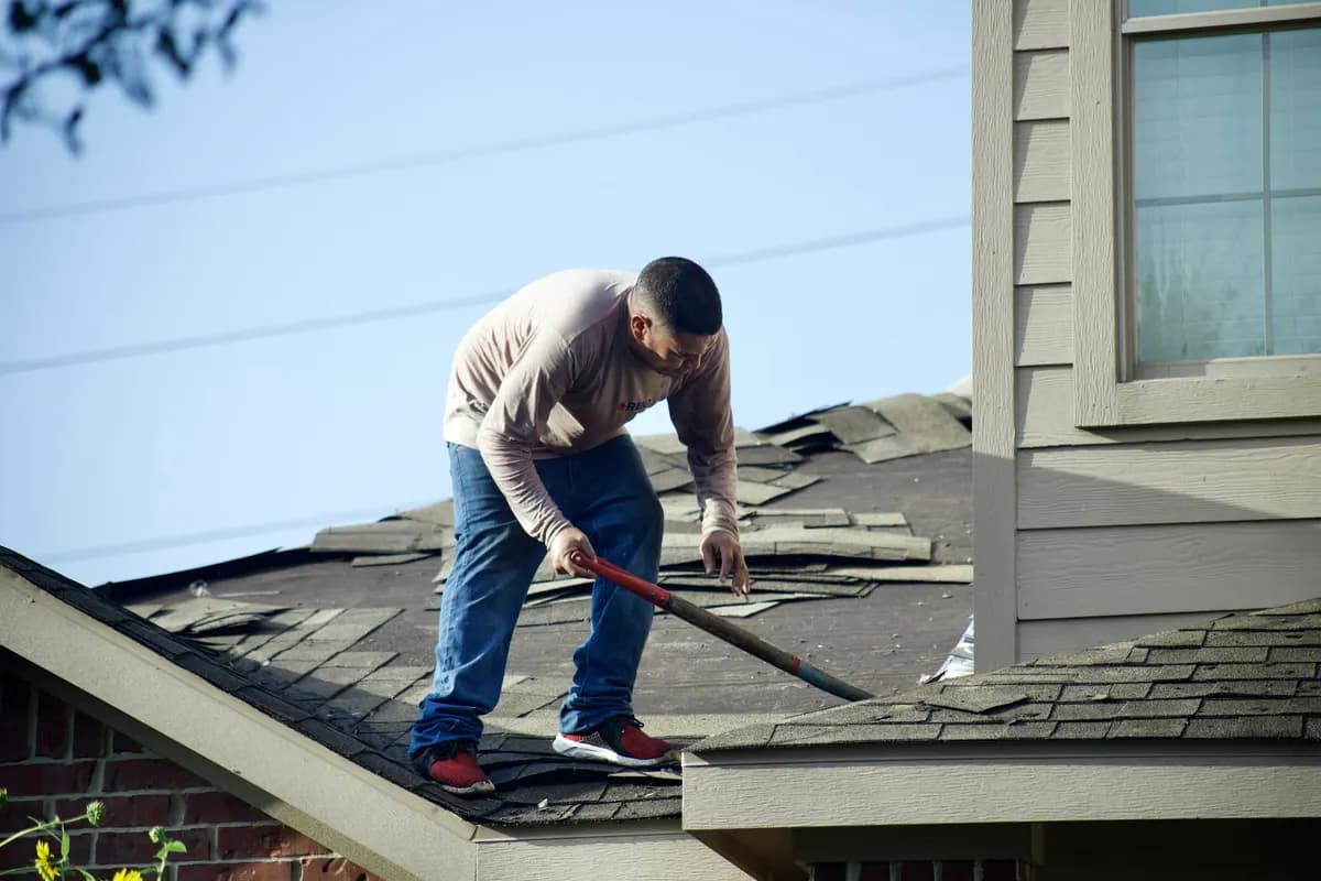A roofer lifting worn asphalt shingles from a residential roof