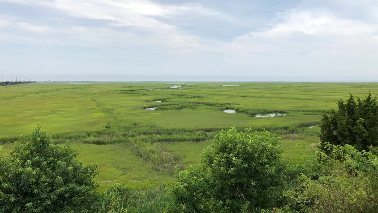 Tidal salt marsh beside Avalon Boulevard in Middle Township, Cape May County, New Jersey