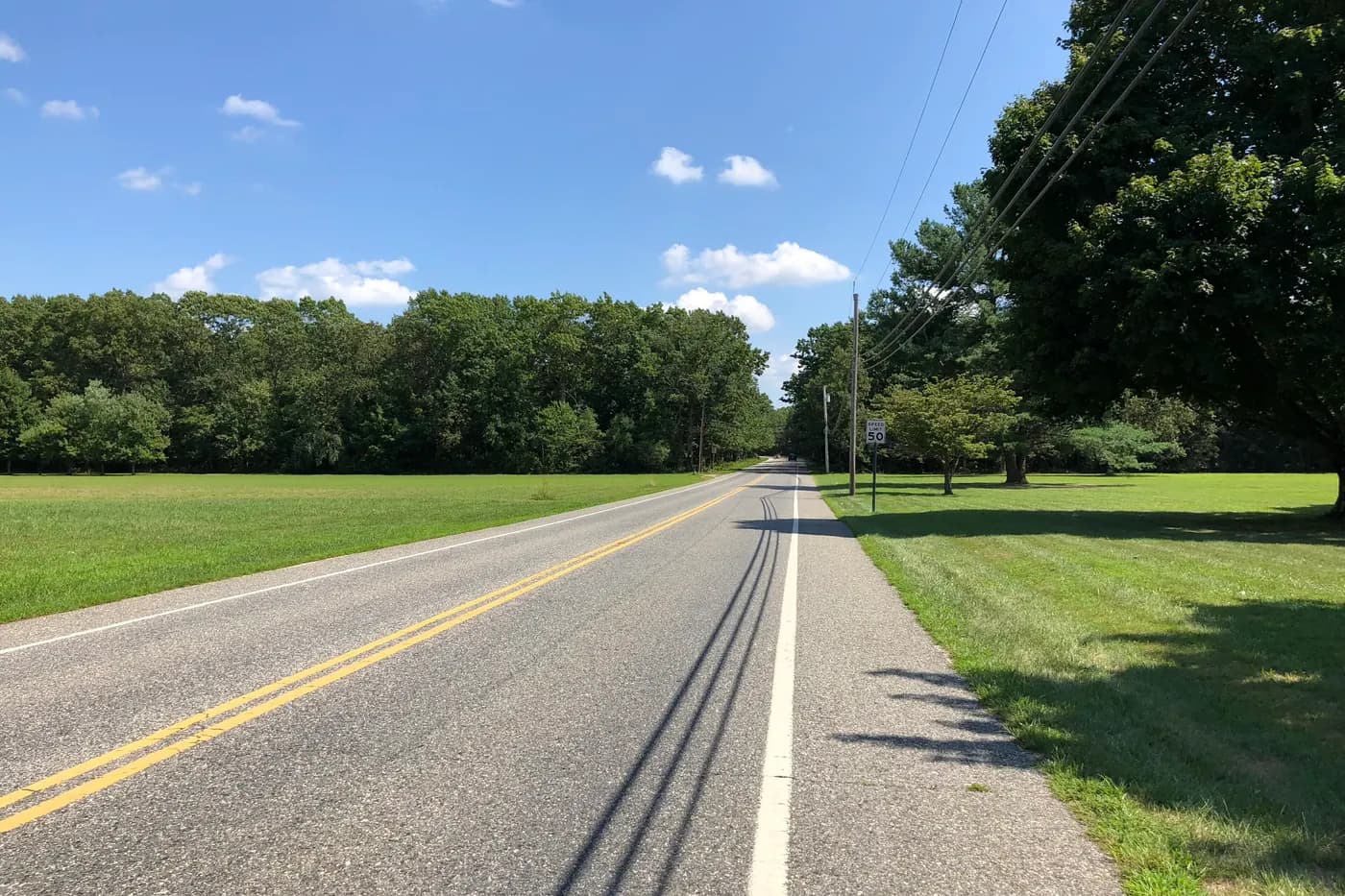 Belleplain-Woodbine Road running between mature trees in Dennis Township, New Jersey